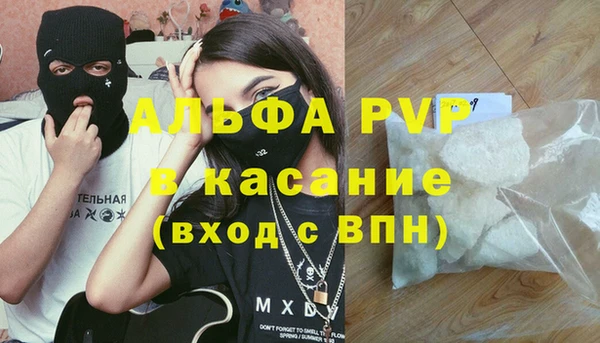 прущий лед Инсар