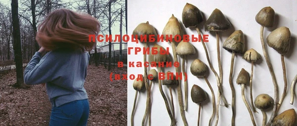 герыч Иннополис