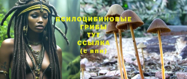 скорость Бородино