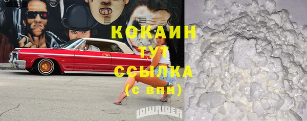 хмурый Инта